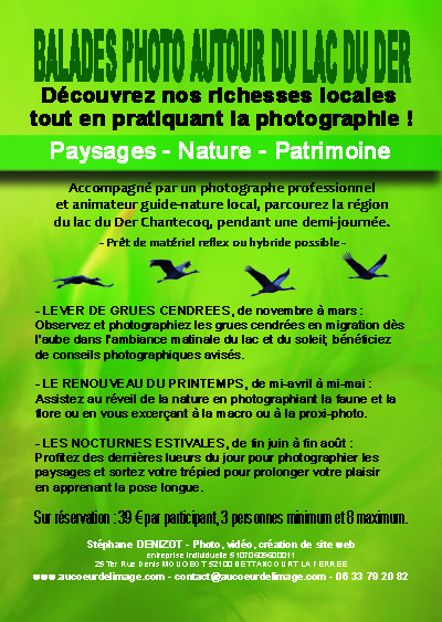 apprendre la photo stage et balade photo autour du lac du der