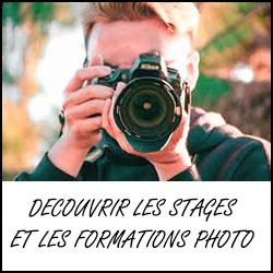 stage et formation photo et vidéo lac du der haute-marne